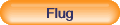 Flug